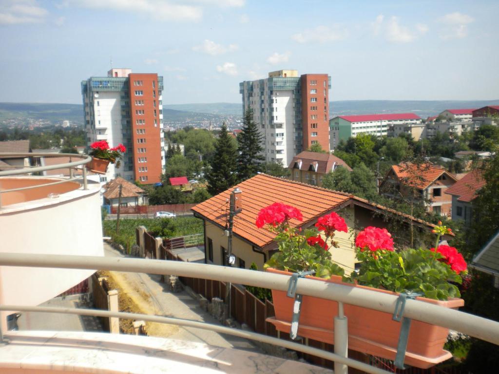 Pension Cluj Exteriör bild